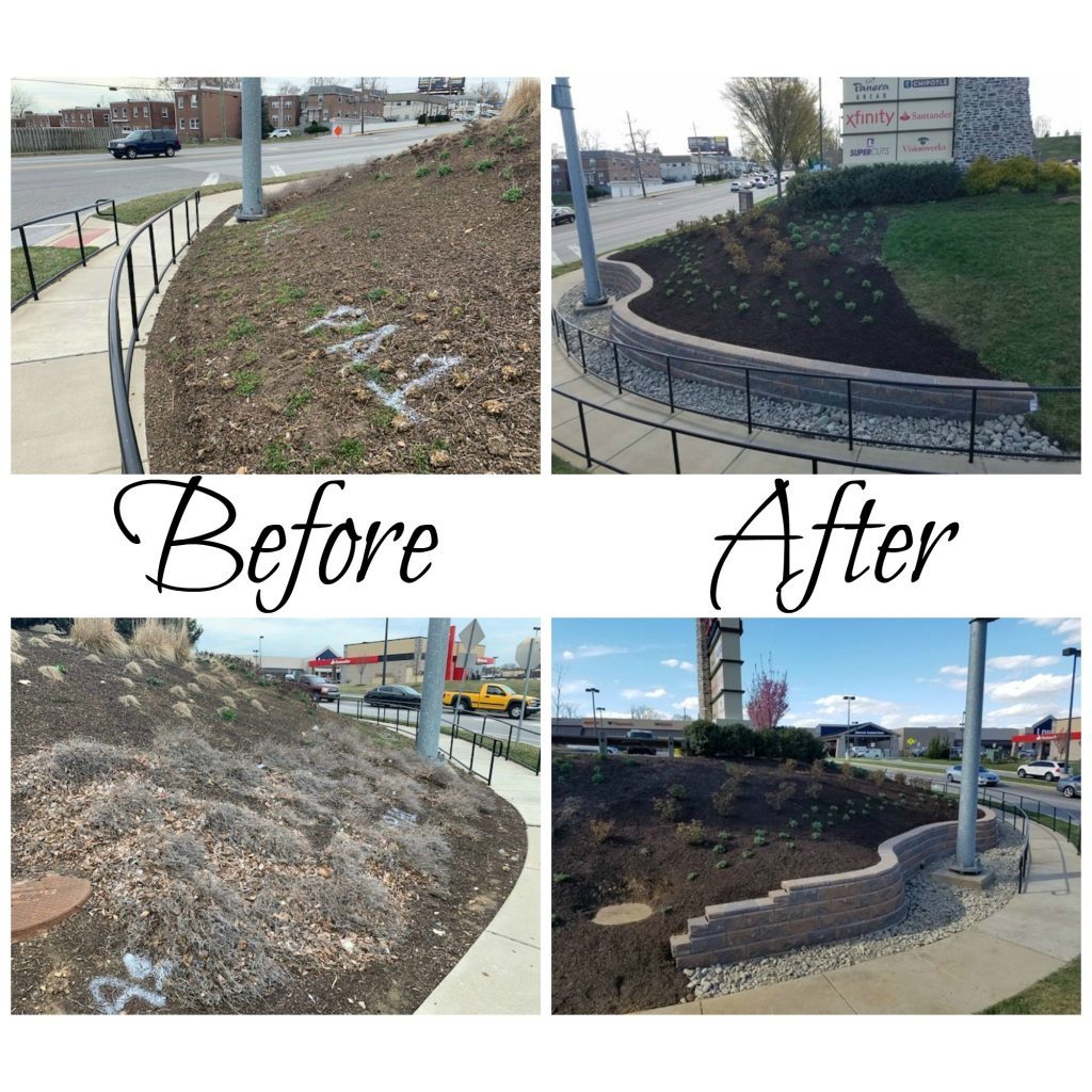 Real World Impact Before and After Mindset