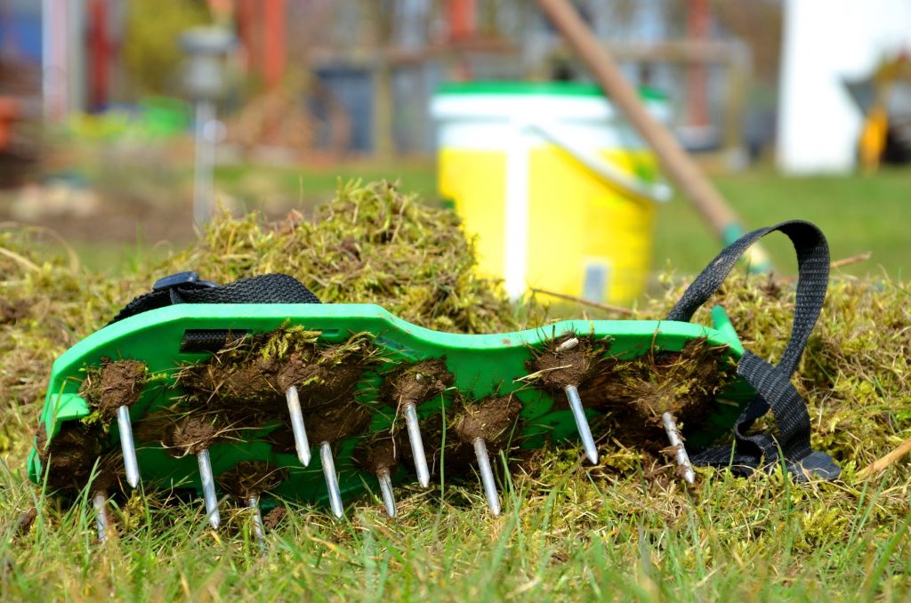 Commercial Property Dying Turf Upland, PA Caramanico Landscape