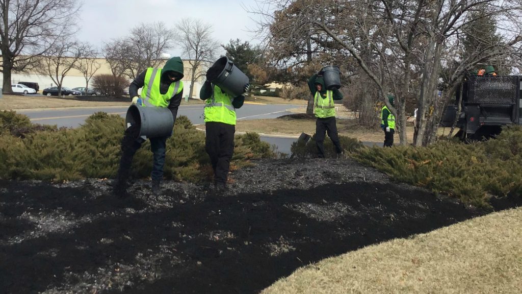 Mulch Install