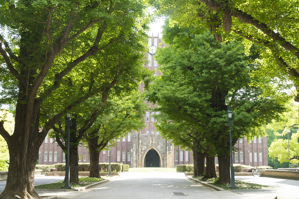 Safe landscaping for college campuses