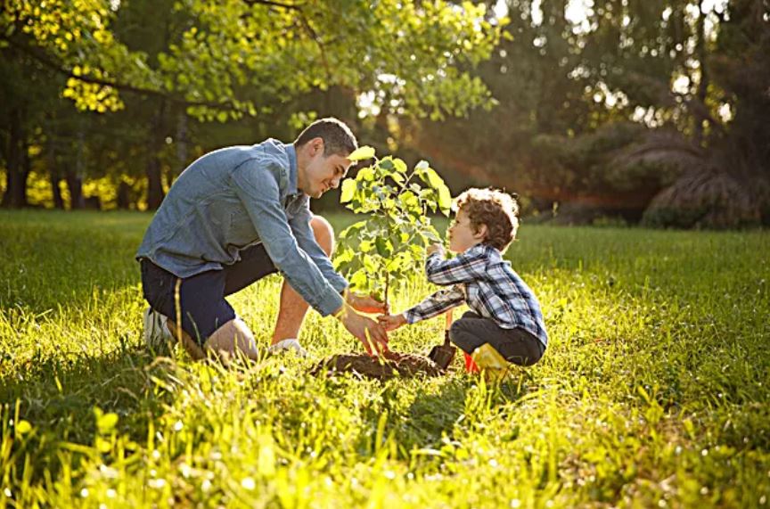 Tree Planting Caramanico Landscape