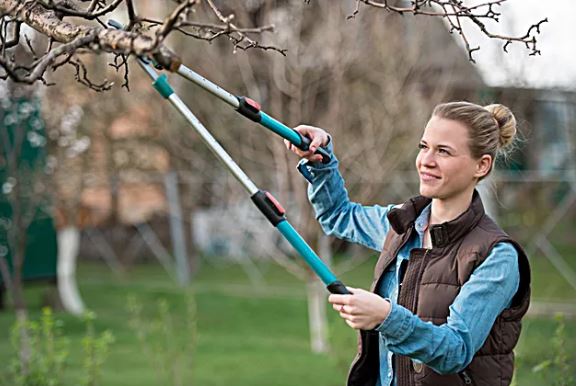 Tree Pruning Caramanico Landscape