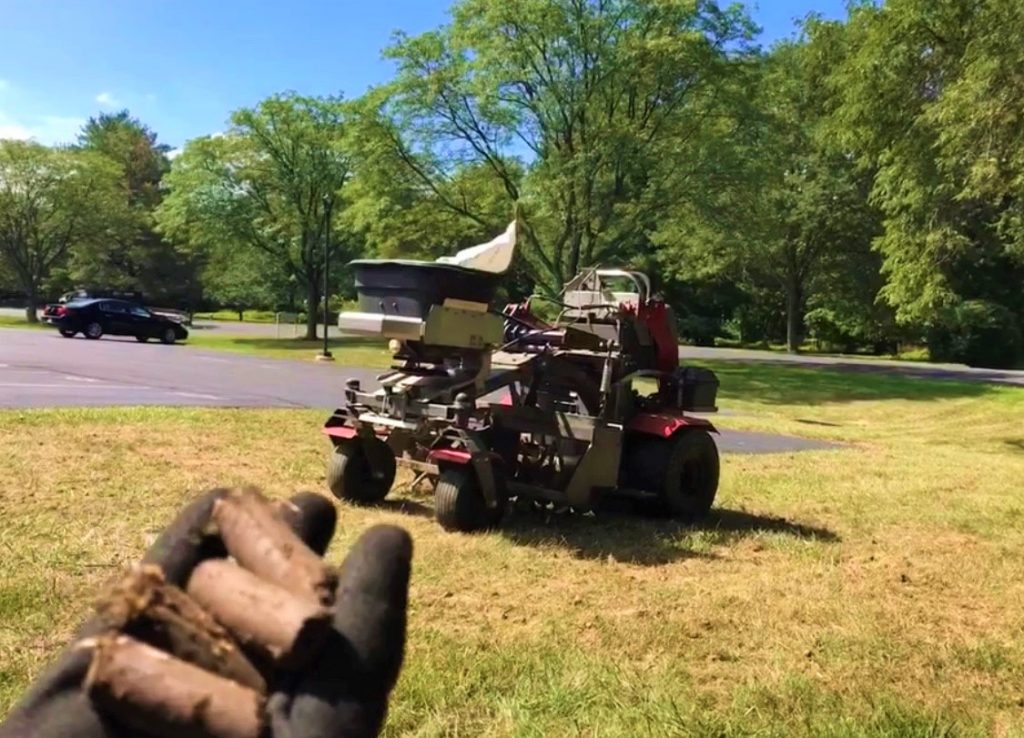 Best time to aerate deals and overseed lawn