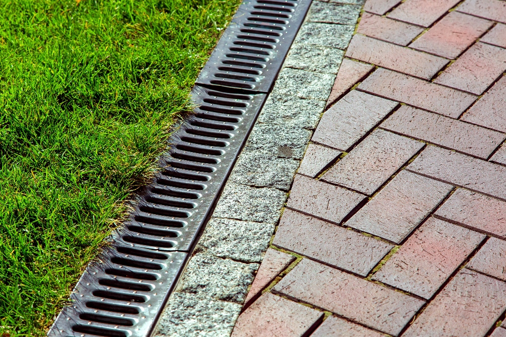 Drainage Issues | Caramanico Landscape Philadelphia, PA