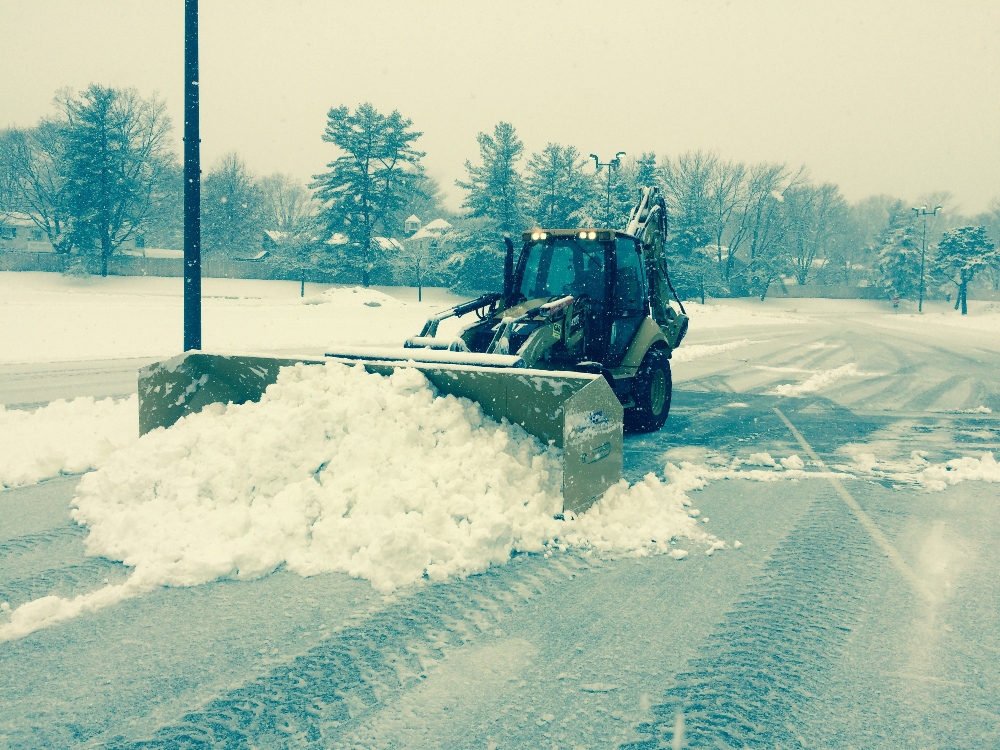 Winter lawn care