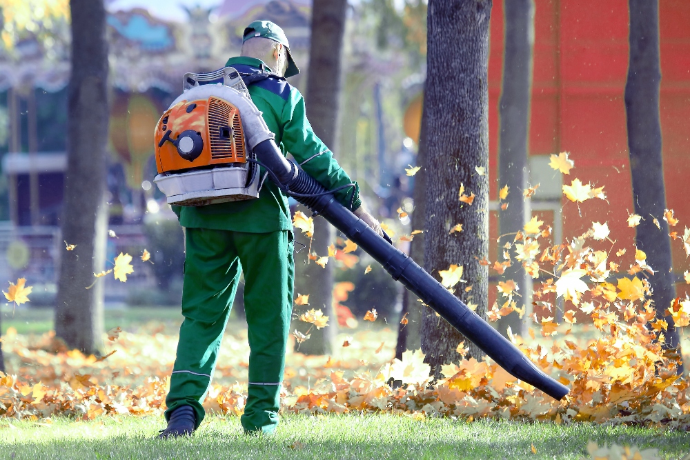 Fall clean up winter landscape prep