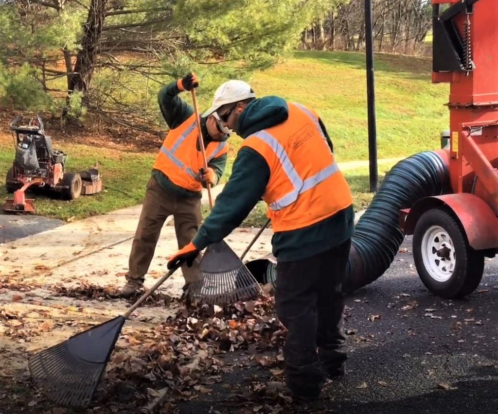 5 Fall Cleanup Steps Commercial Landscape Caramanico