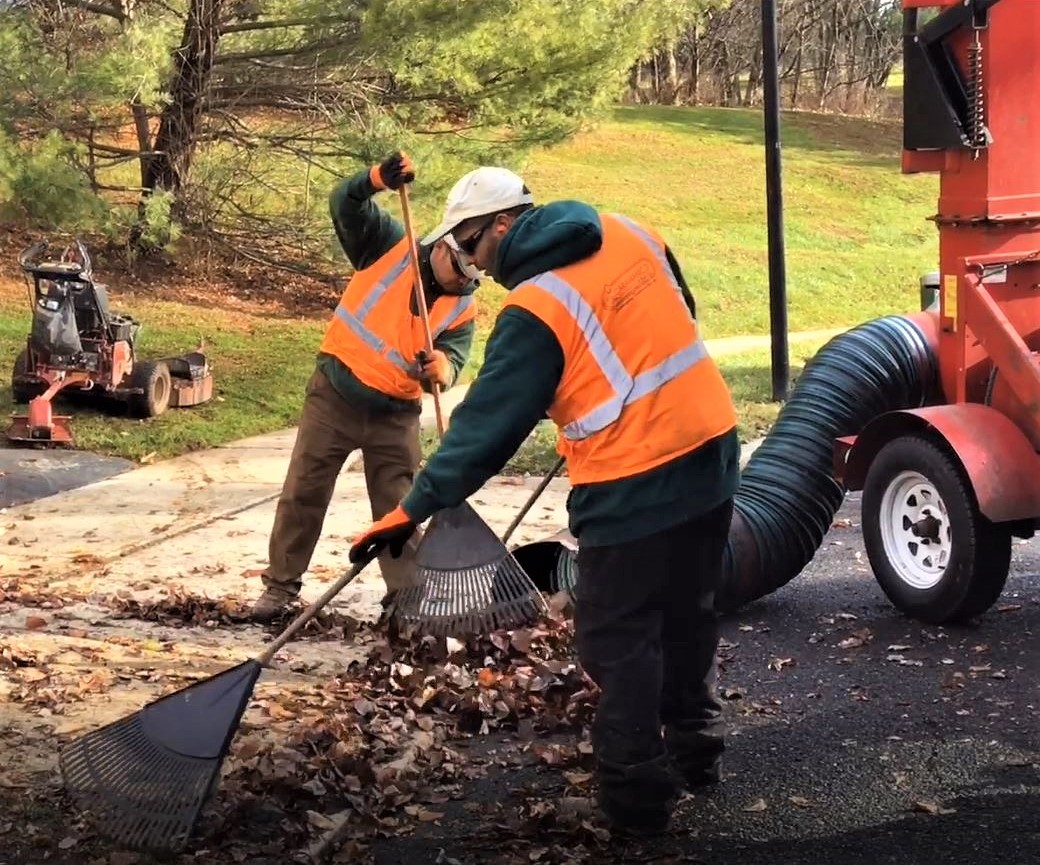 5 Fall Cleanup Steps Commercial Landscape Caramanico