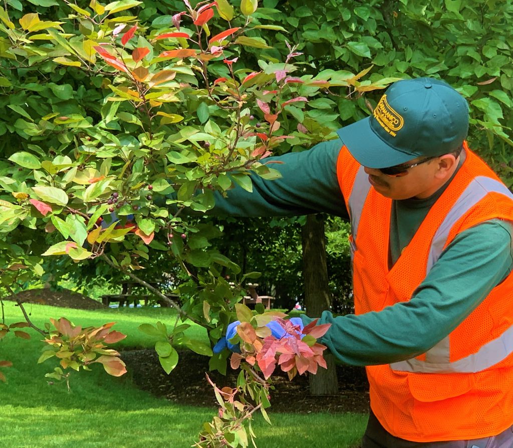 Pennsylvania commercial landscapers