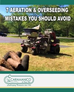 7 Aeration And Overseeding Mistakes You Should Avoid