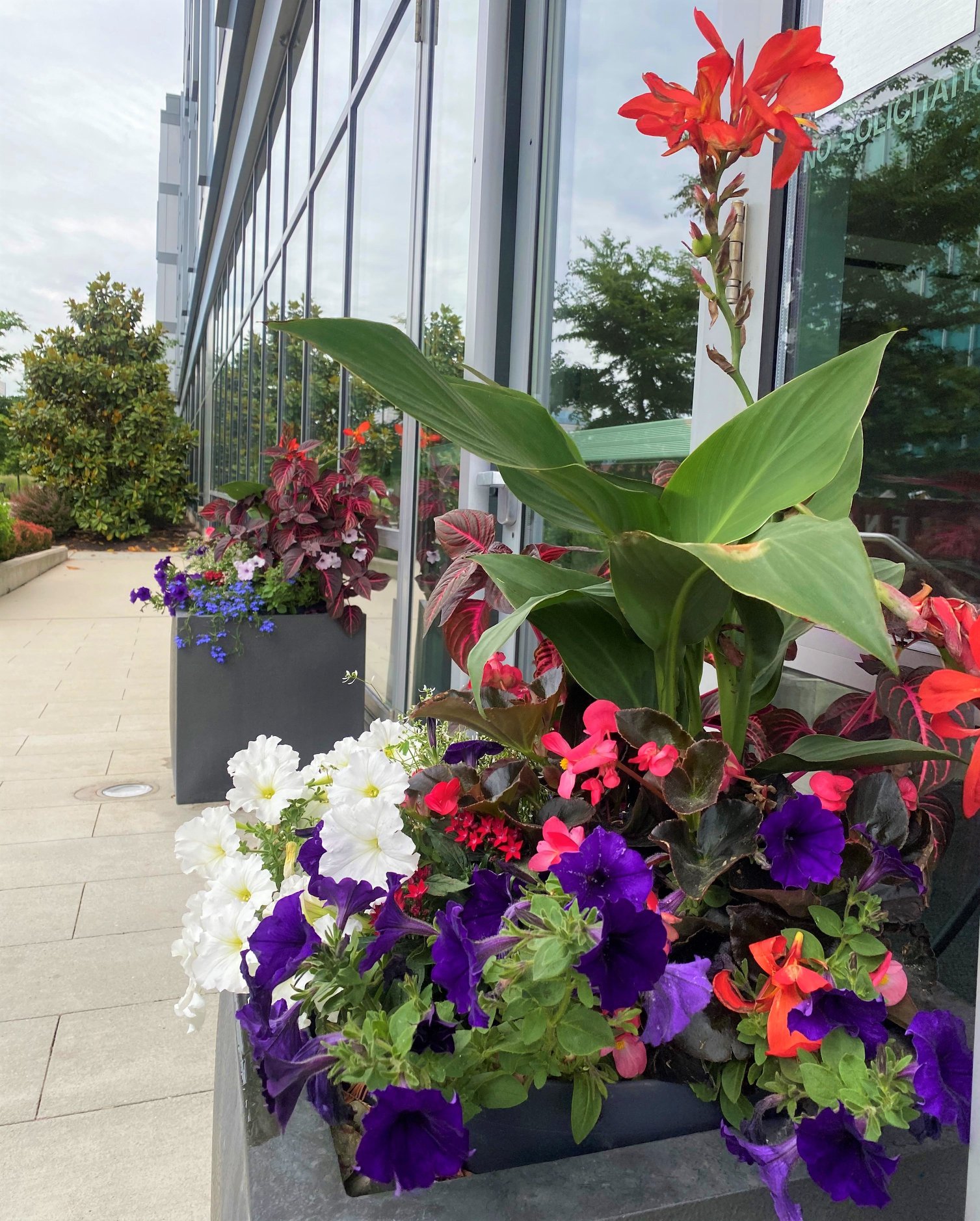 Add Flowers to Your Commercial Property C. Caramanico & Sons, Inc.