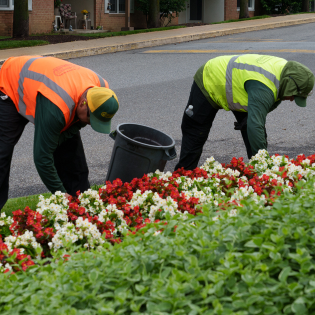 Commercial Landscape Maintenance Company