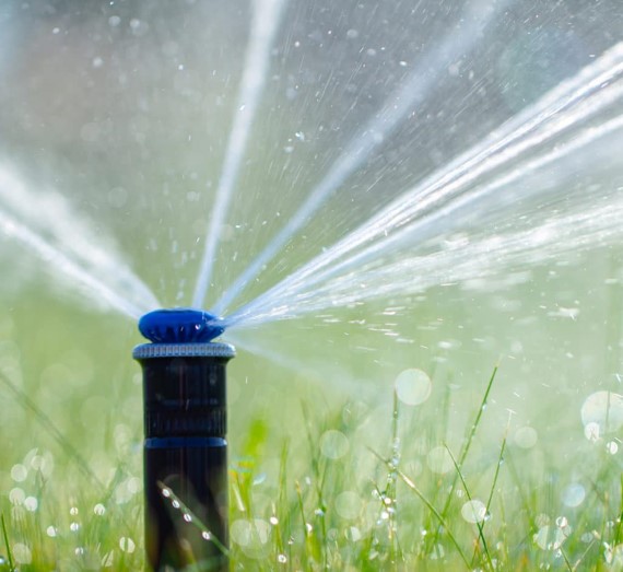 Irrigation & Water Management