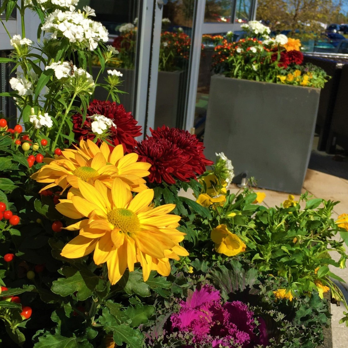 Retail Centers Landscaping
