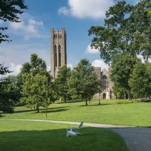 Schools Universities Landscaping