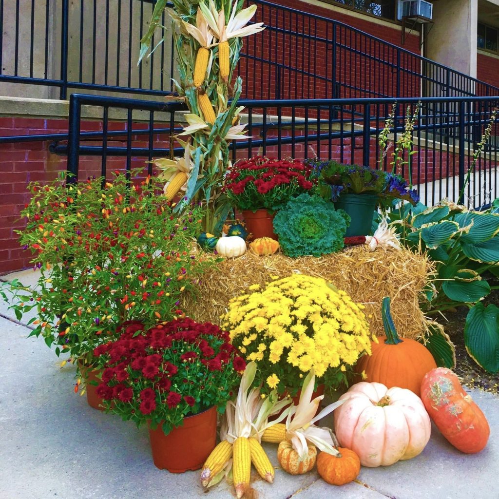 Seasonal Decorations