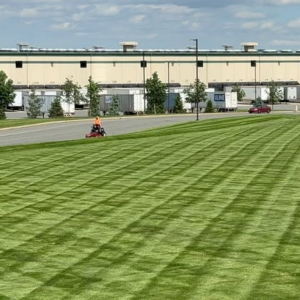 Best Commercial Landscaping Company