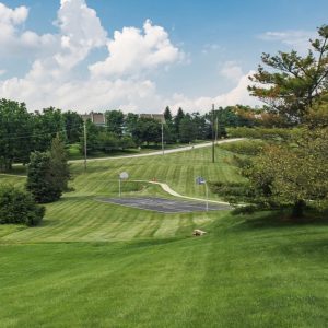 Commercial Landscape Upgrades