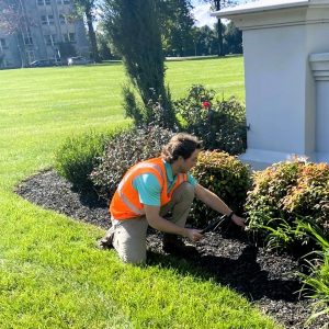 commercial landscape maintenance plan