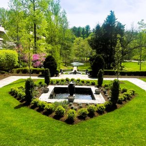 landscape trends for commercial properties