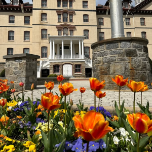 seasonal color for commercial landscapes