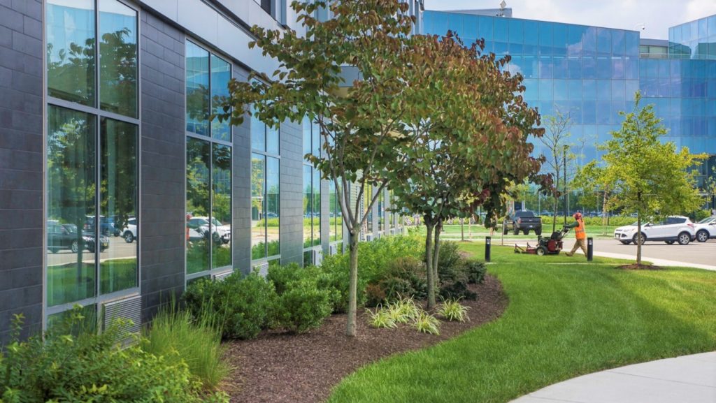 Best Commercial Landscaping Company in Philadelphia - Caramanico Landscape