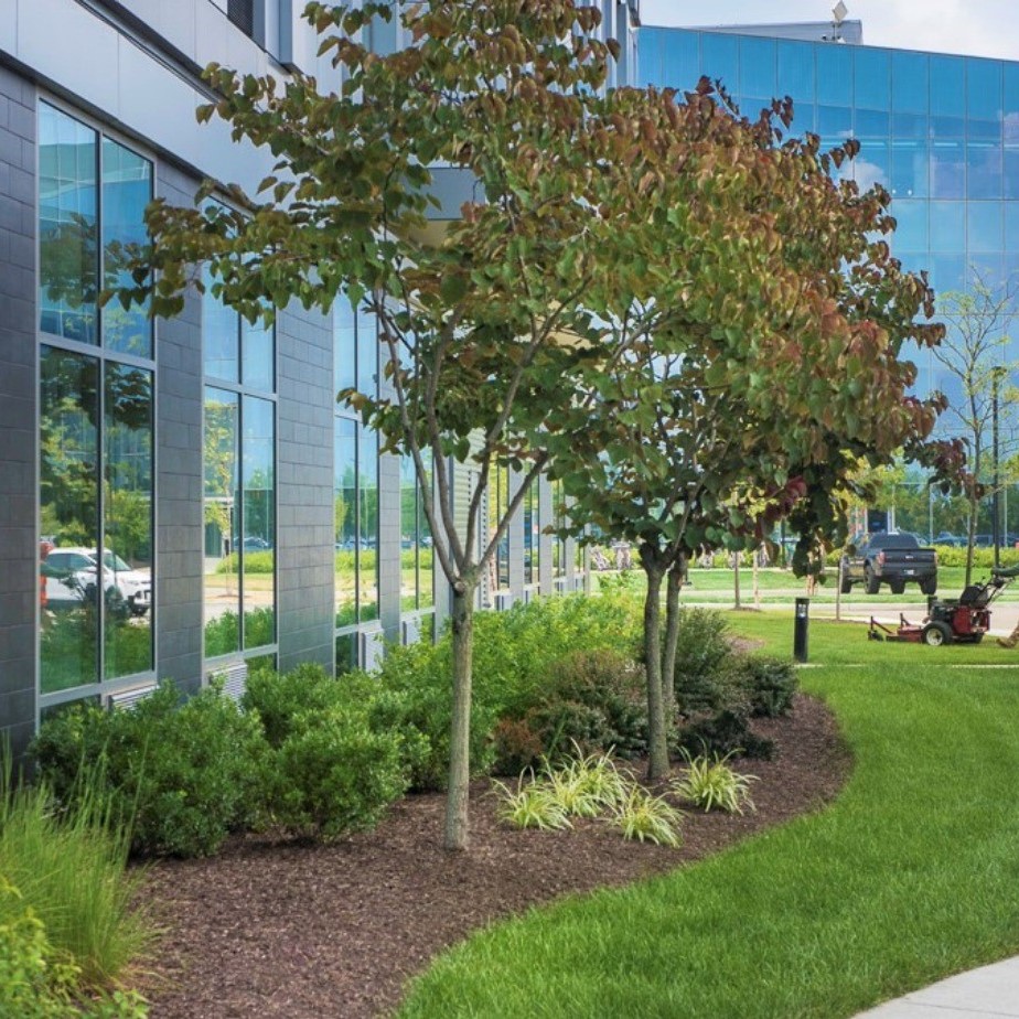 Best Commercial Landscaping Company in Philadelphia - Caramanico Landscape