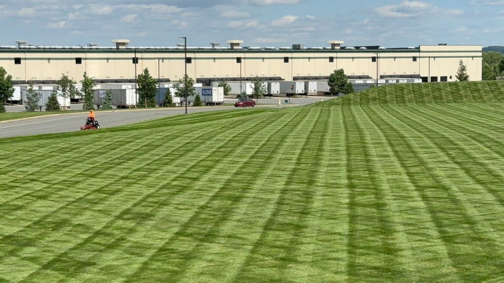 Commercial Landscaping Crews in Summer