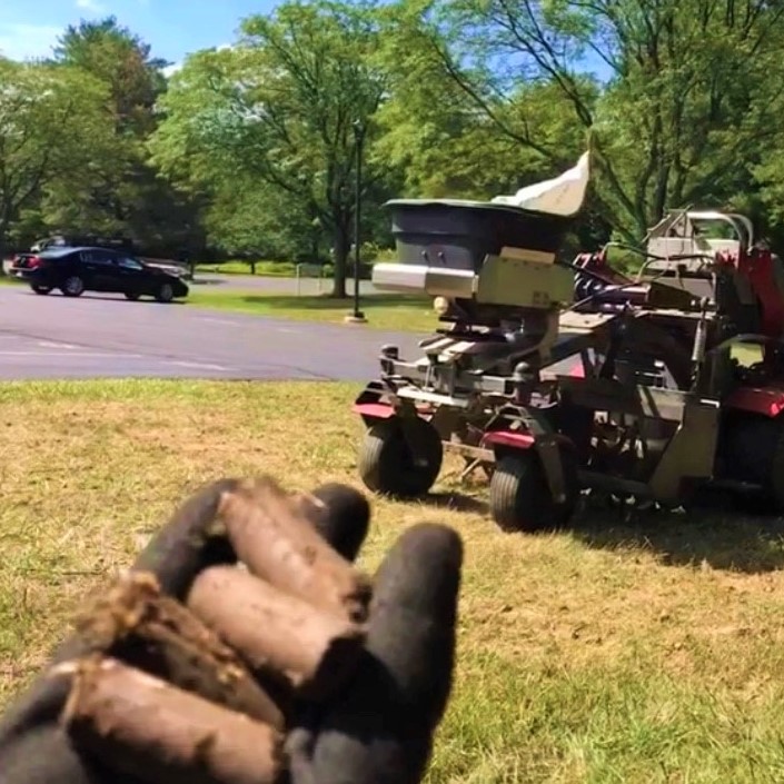 Core Aeration and Overseeding