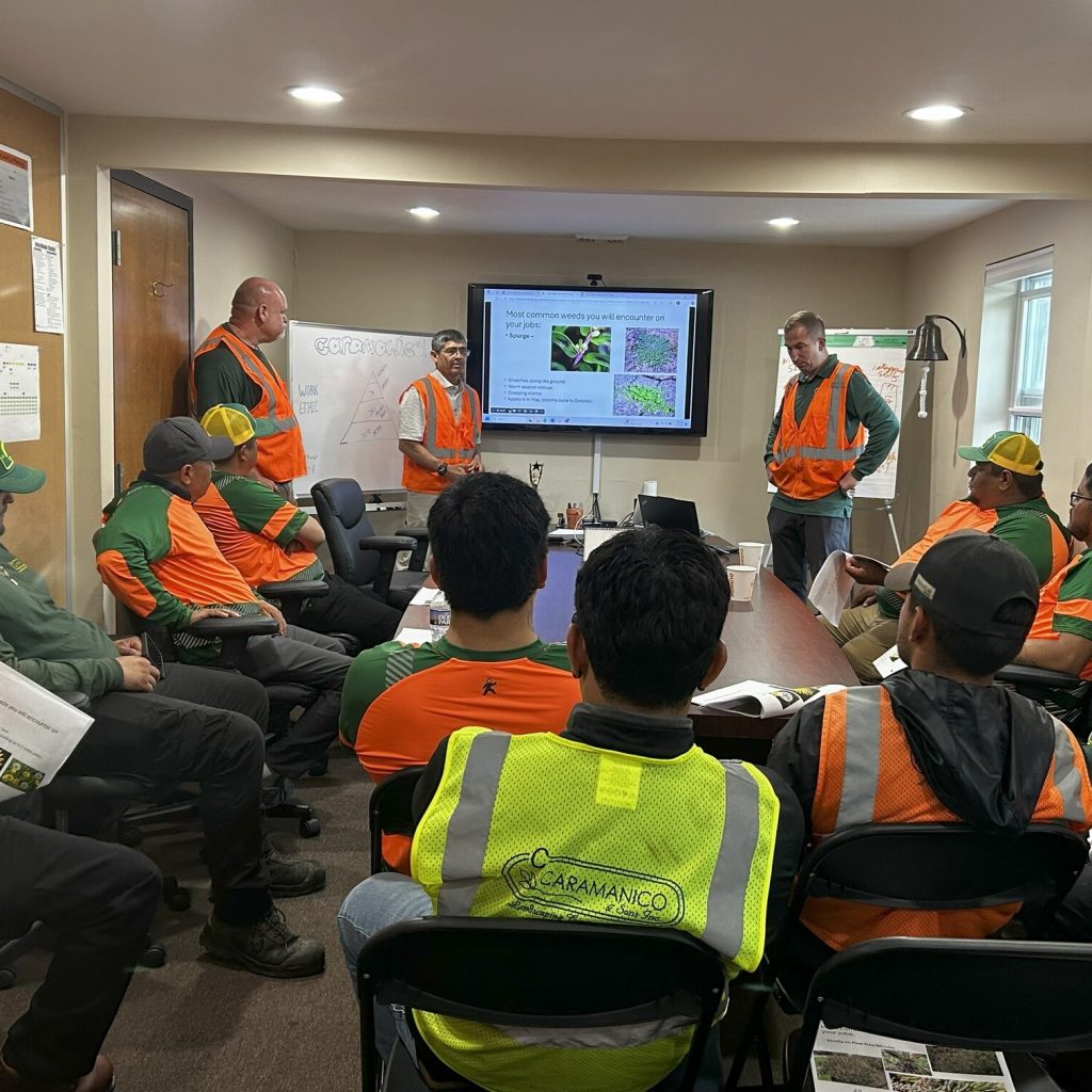 Safety in Commercial Landscaping