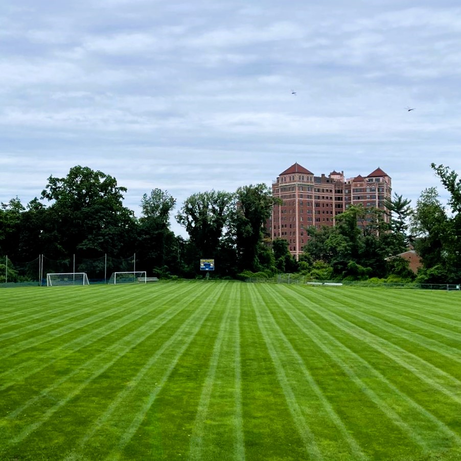 Core Aeration and Overseeding