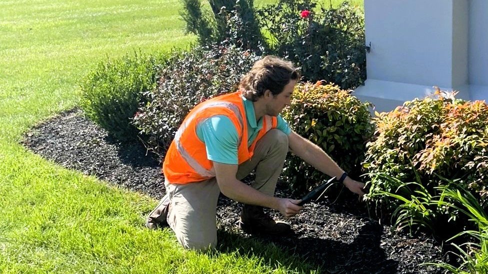 commercial landscape maintenance plan