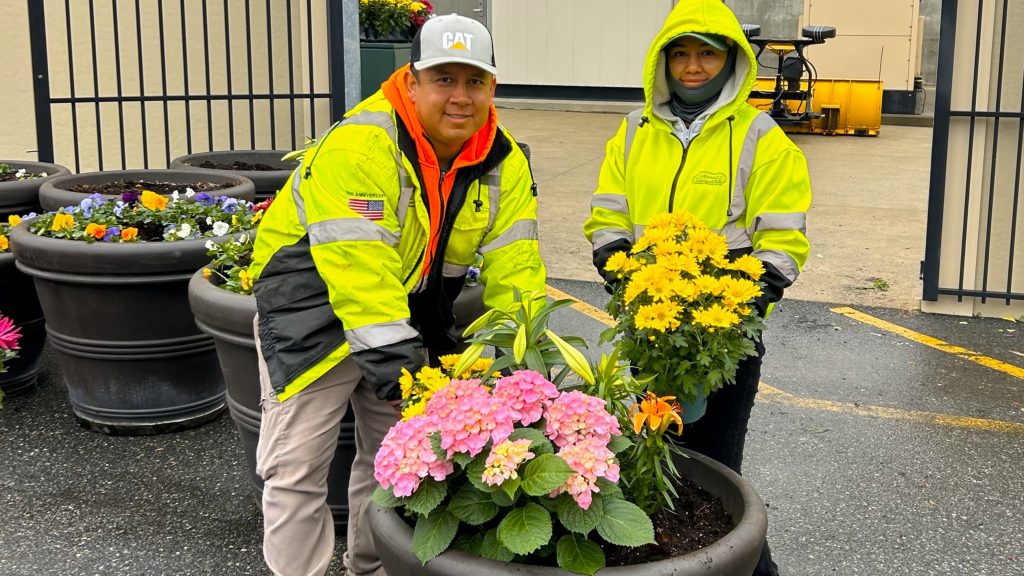 The Power of Seasonal Planters for Commercial Properties