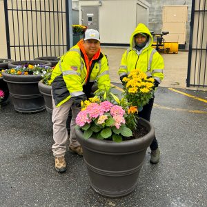 seasonal planters for commercial properties