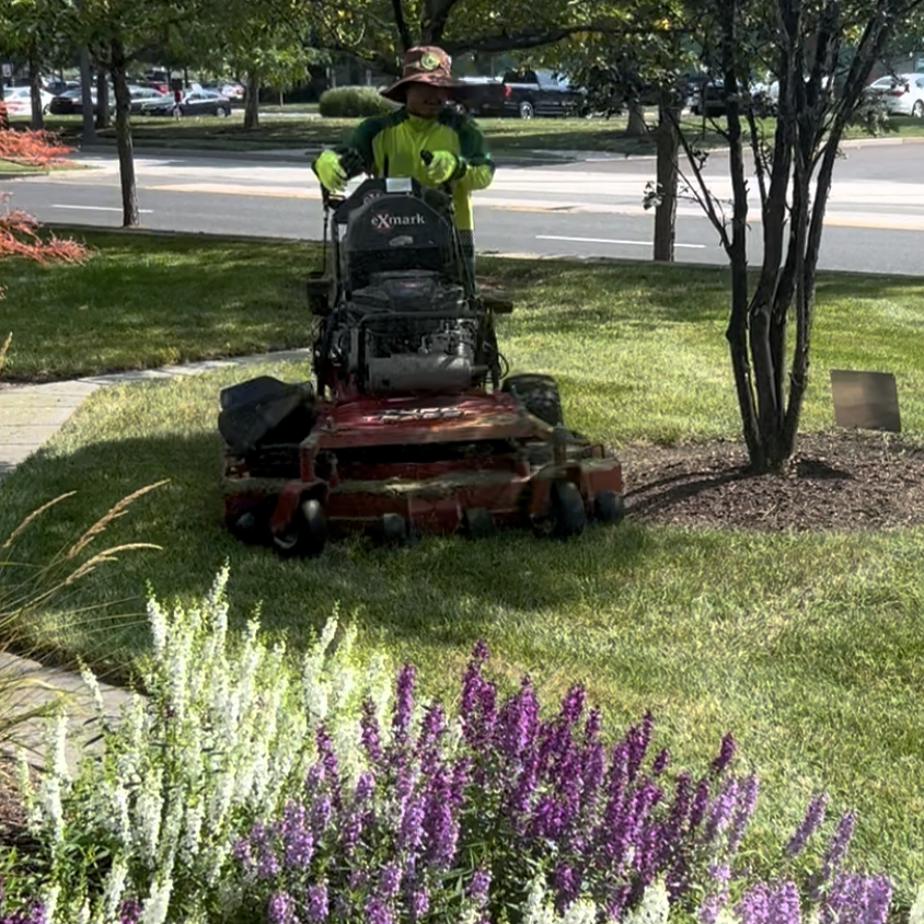 How a Professional Landscaping Partner Simplifies Facility Management