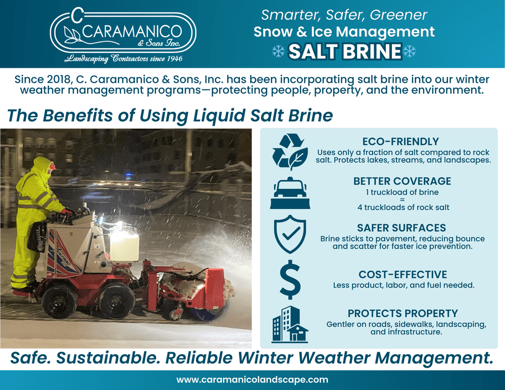 The Benefits of Using Liquid Salt Brine
