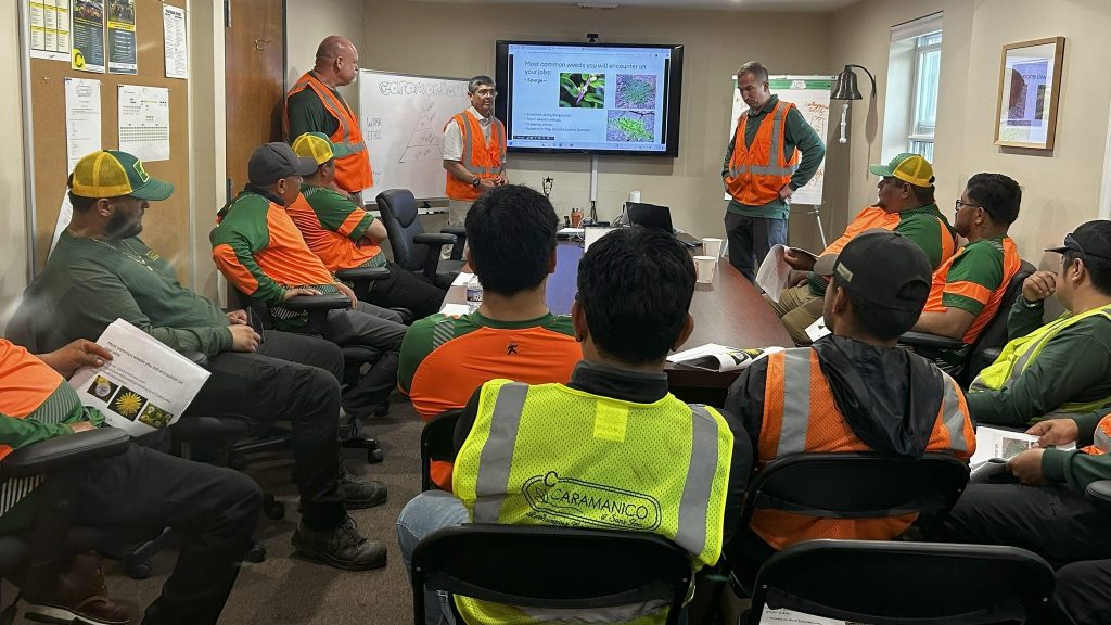 Safety & Training