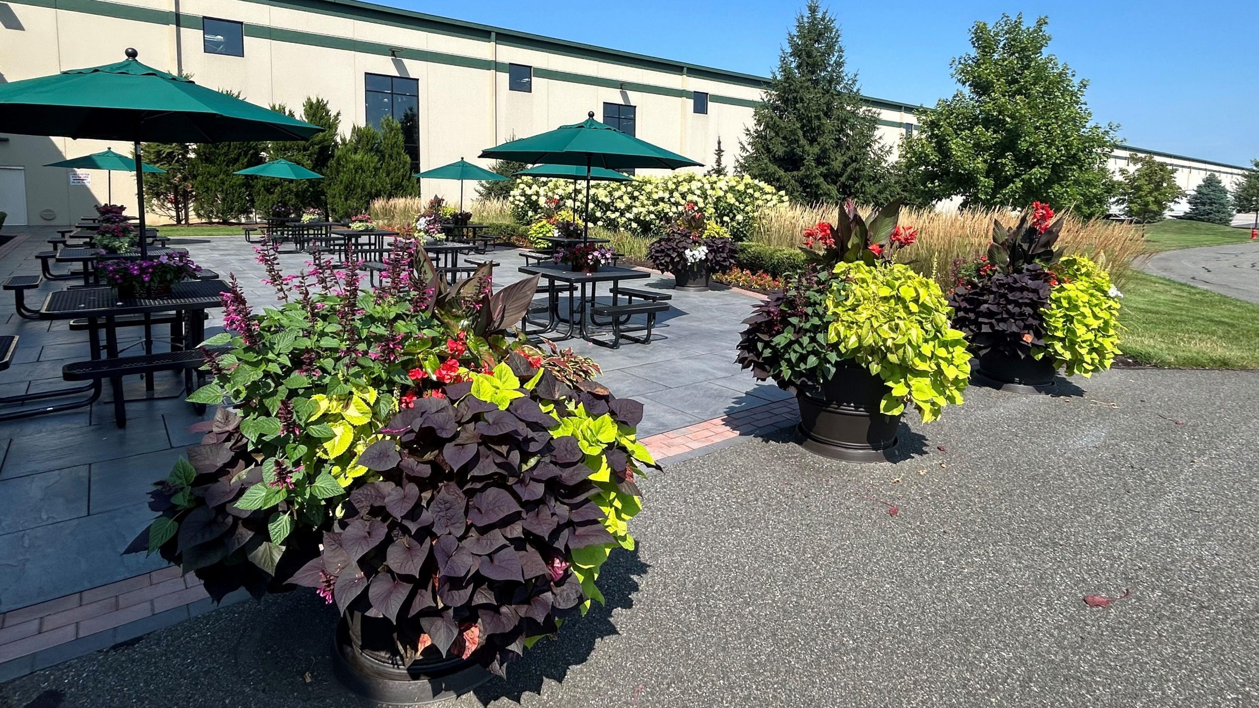 landscaping for tenant retention