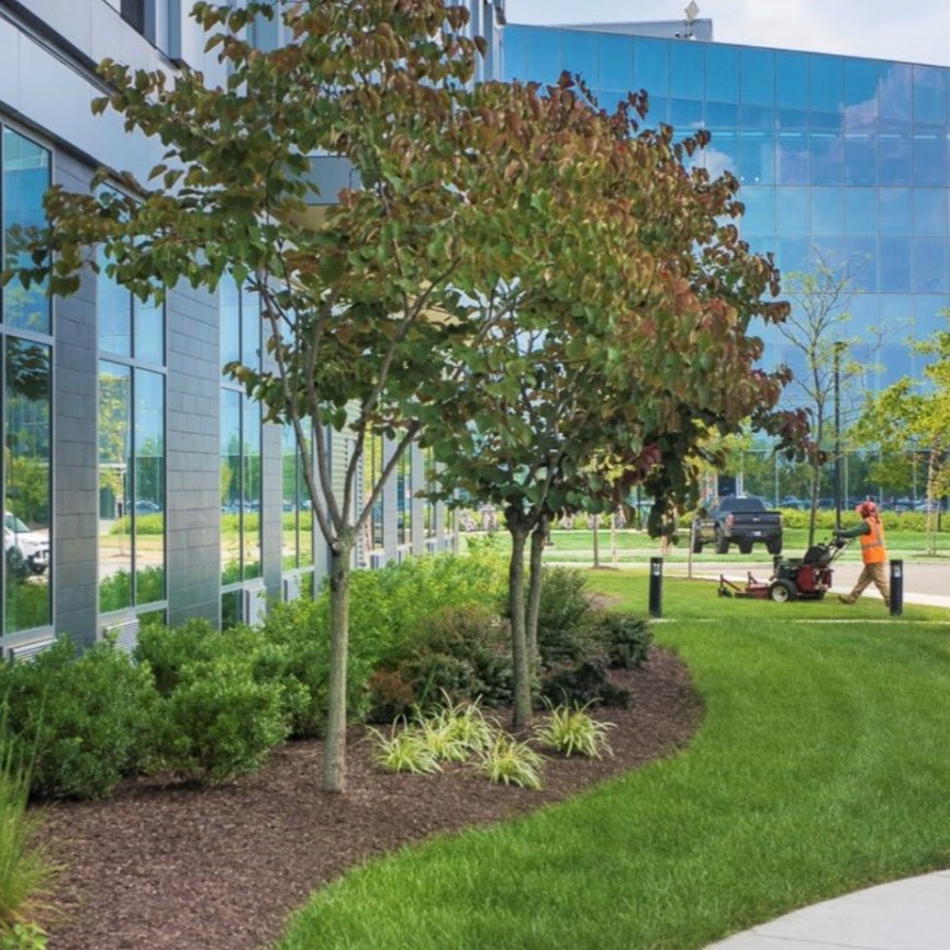 Best Commercial Landscaping Company Delaware Valley