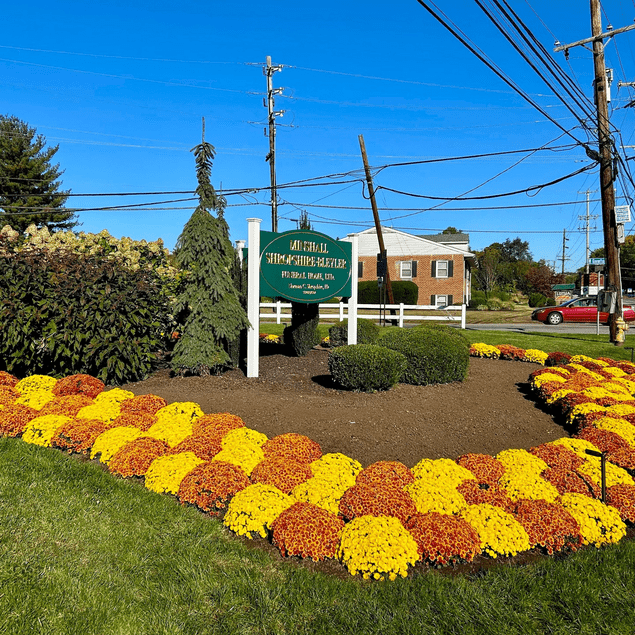 Fall Landscaping Ideas: How Mums Add Instant Curb Appeal to Commercial Properties