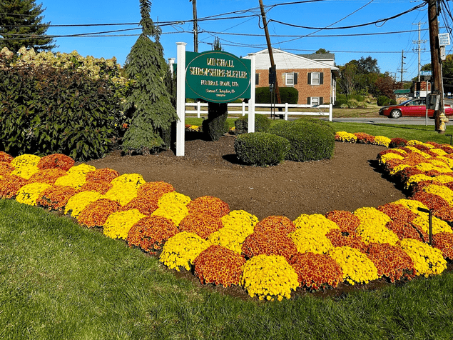 Fall Landscaping Ideas: How Mums Add Instant Curb Appeal to Commercial Properties