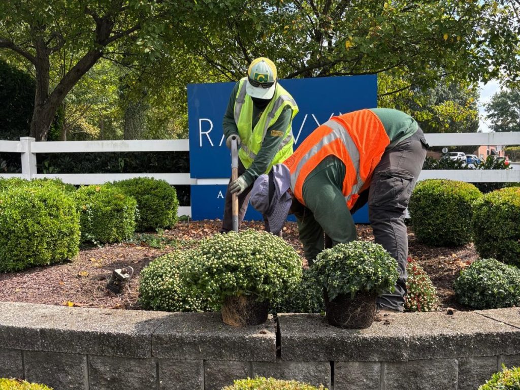 Fall Landscaping Ideas: Mums