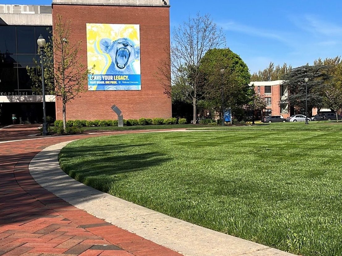 Schools & Universities Landscaping