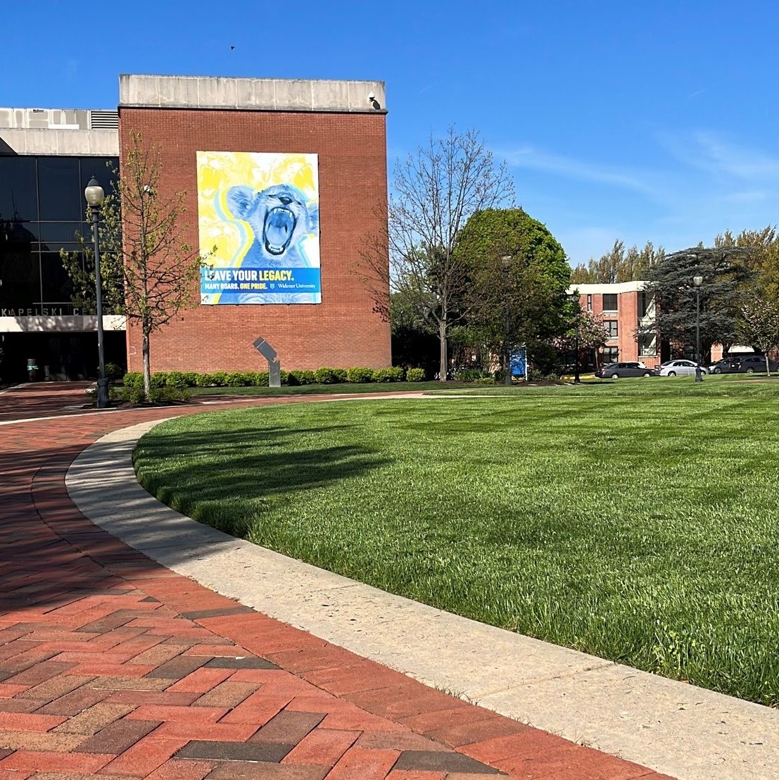 Schools & Universities Landscaping