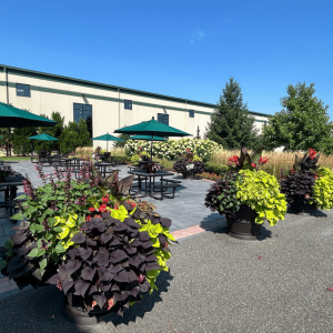 The Role of Seasonal Planters in Branding Your Business