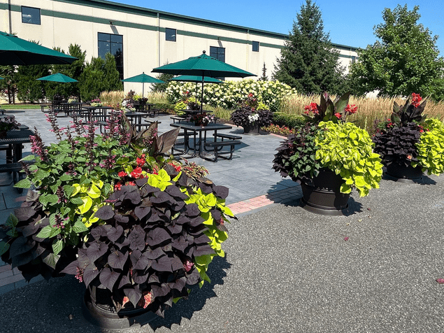 The Role of Seasonal Planters in Branding Your Business