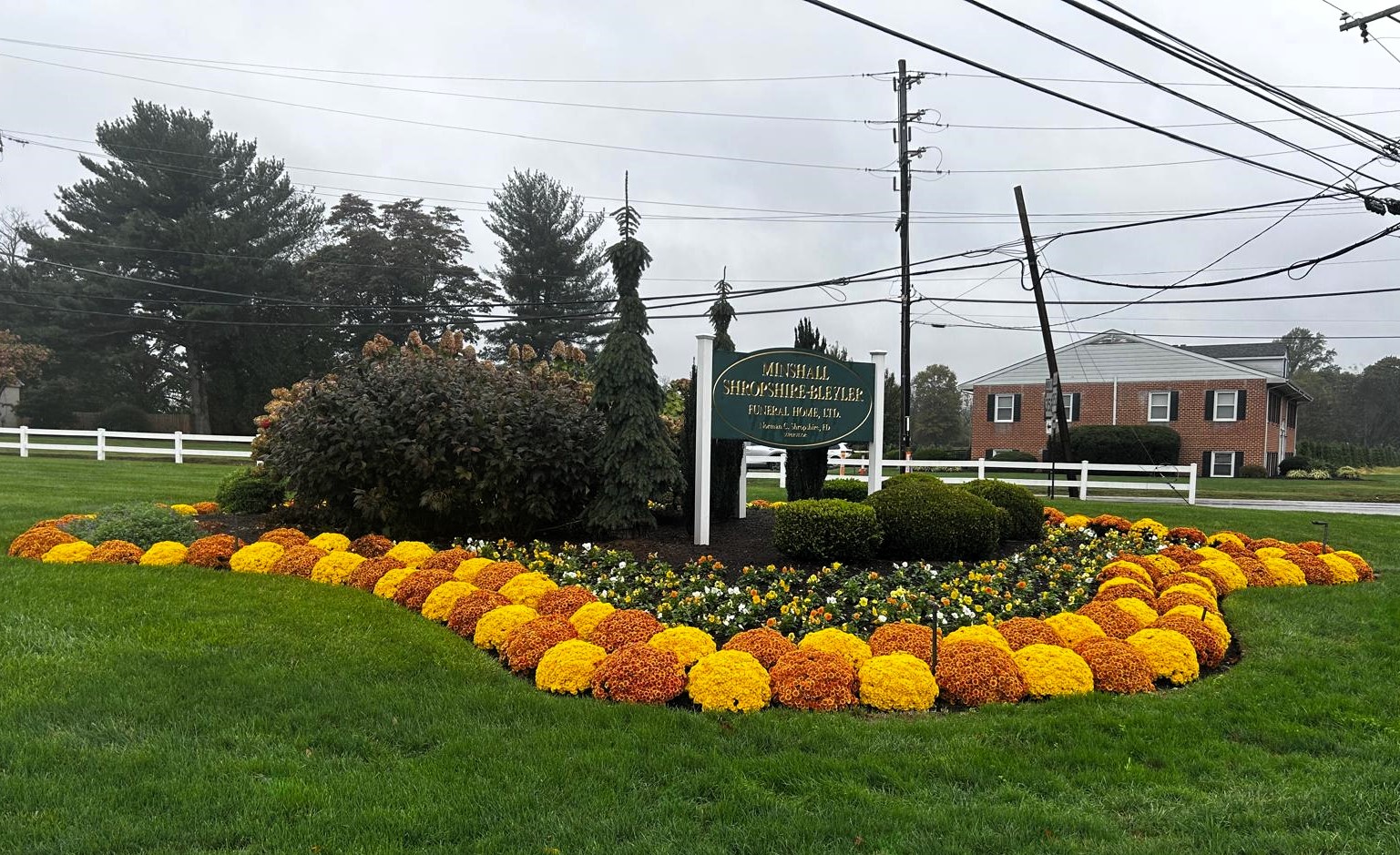 Fall Seasonal Color