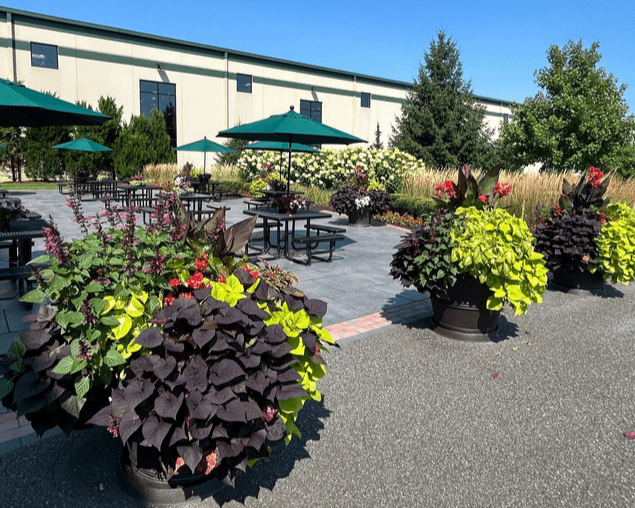 commercial landscaping company