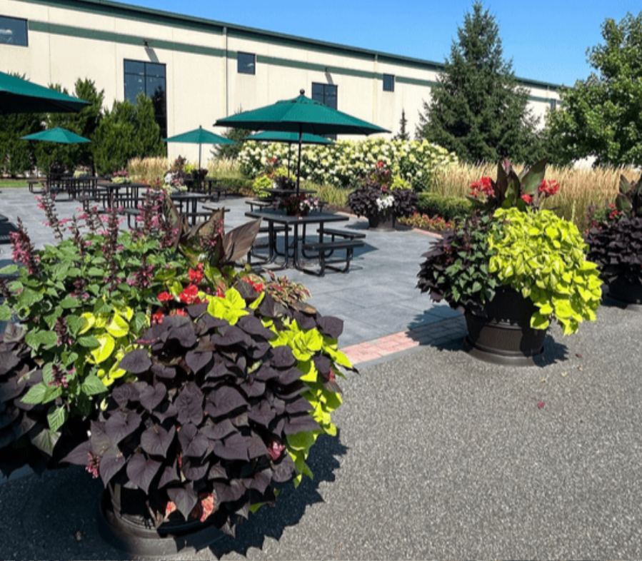 Caramanico Enhancements