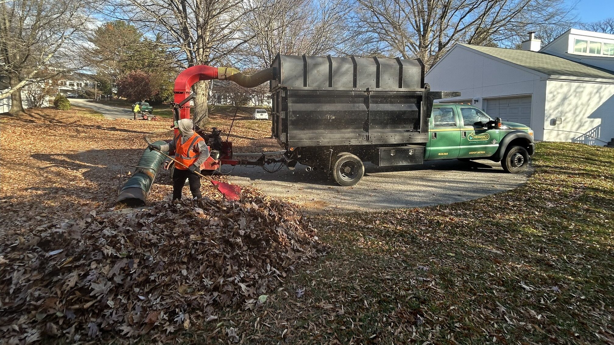 Fall Cleanup